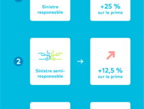 Assurance malus et assurance tous risques : ce qu’il faut savoir